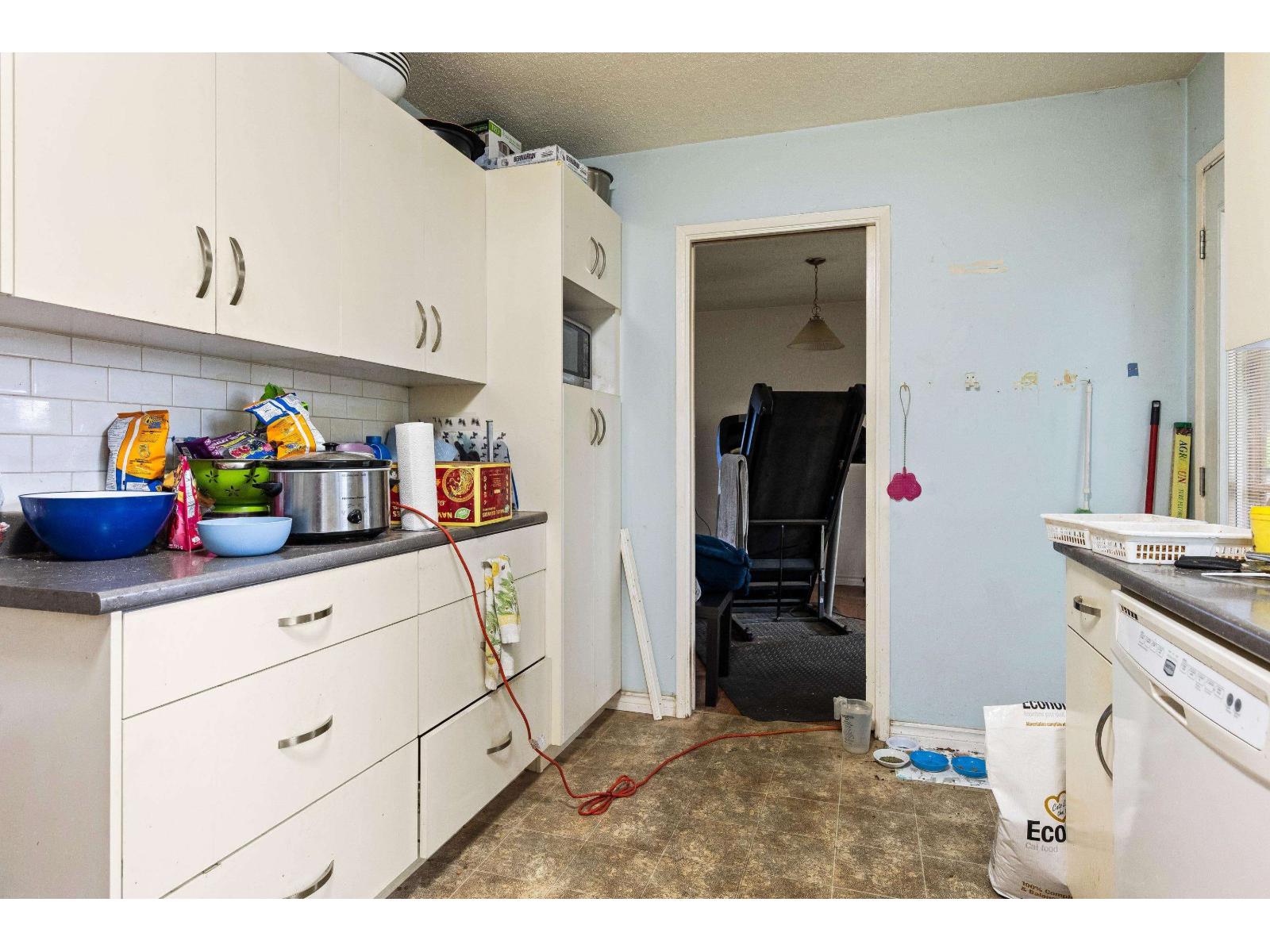 2141 Lynden Street, Abbotsford, British Columbia  V2T 3B6 - Photo 11 - R3124812