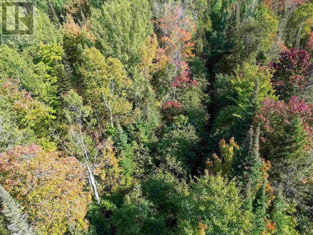 . Mississagi Bay Rd, Huron Shores, Ontario P0R 1H0 - Photo 40 - SM261063
