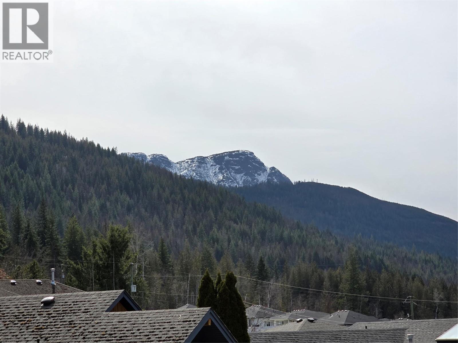 1040 14 Avenue SE, Salmon Arm, British Columbia  V1E 2R6 - Photo 52 - 10380958