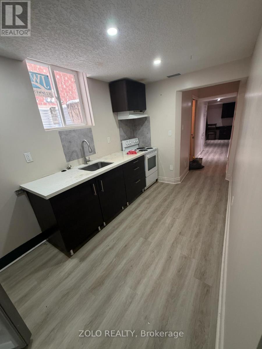 Bsmt - 165 Windflower Drive, Kitchener, Ontario N2E 3S9 - Photo 4 - X13144870