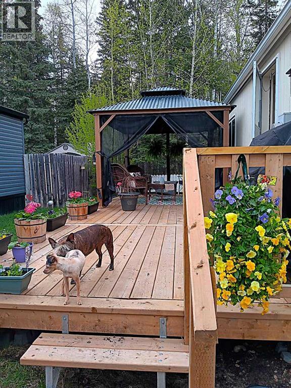 218 Skogg Avenue, Hinton, Alberta  T7V 1A6 - Photo 17 - A2303944