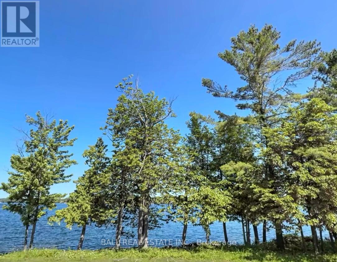 0 County Road, Kawartha Lakes, Ontario  K0M 1A0 - Photo 2 - X13145048