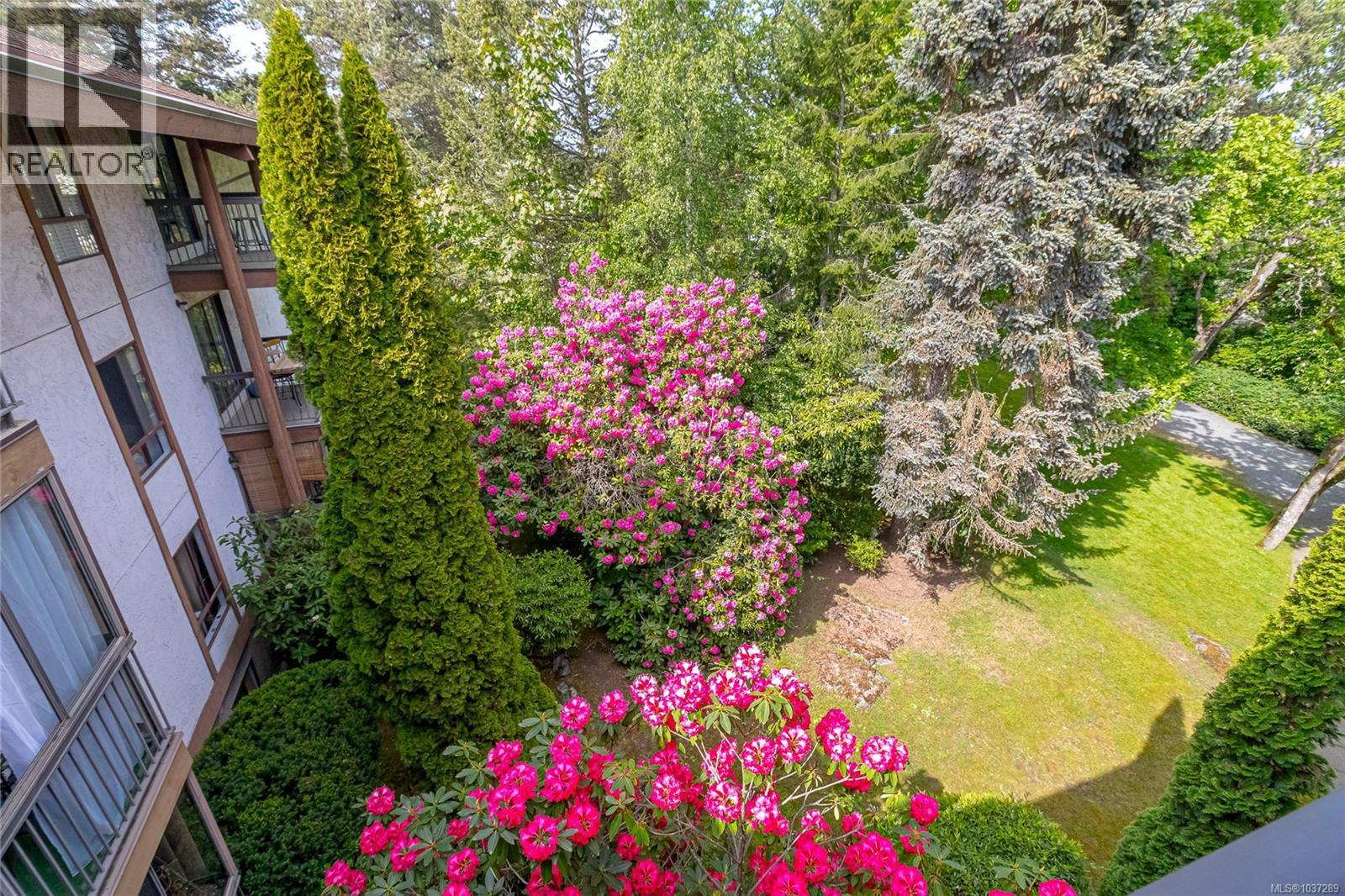407 1009 Mckenzie Ave, Saanich, British Columbia  V8X 4B1 - Photo 17 - 1037289