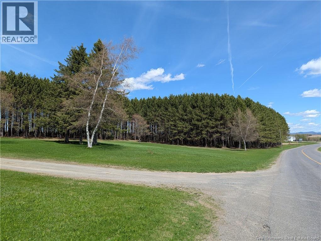 465 Route 375, Dsl De Grand-Sault/falls, New Brunswick  E3Z 1Z2 - Photo 8 - NB139764
