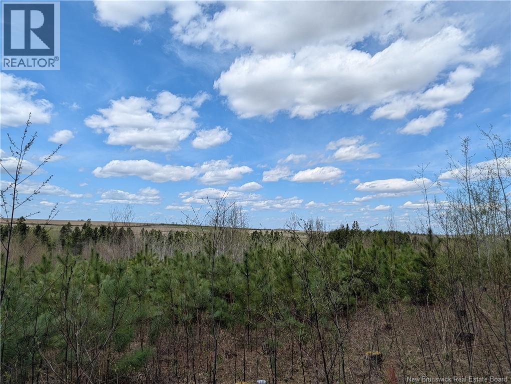 465 Route 375, Dsl De Grand-Sault/falls, New Brunswick  E3Z 1Z2 - Photo 28 - NB139764