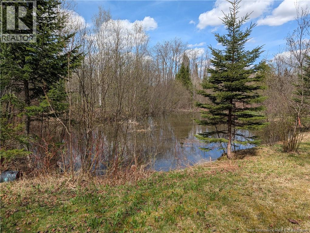 465 Route 375, Dsl De Grand-Sault/falls, New Brunswick  E3Z 1Z2 - Photo 12 - NB139764