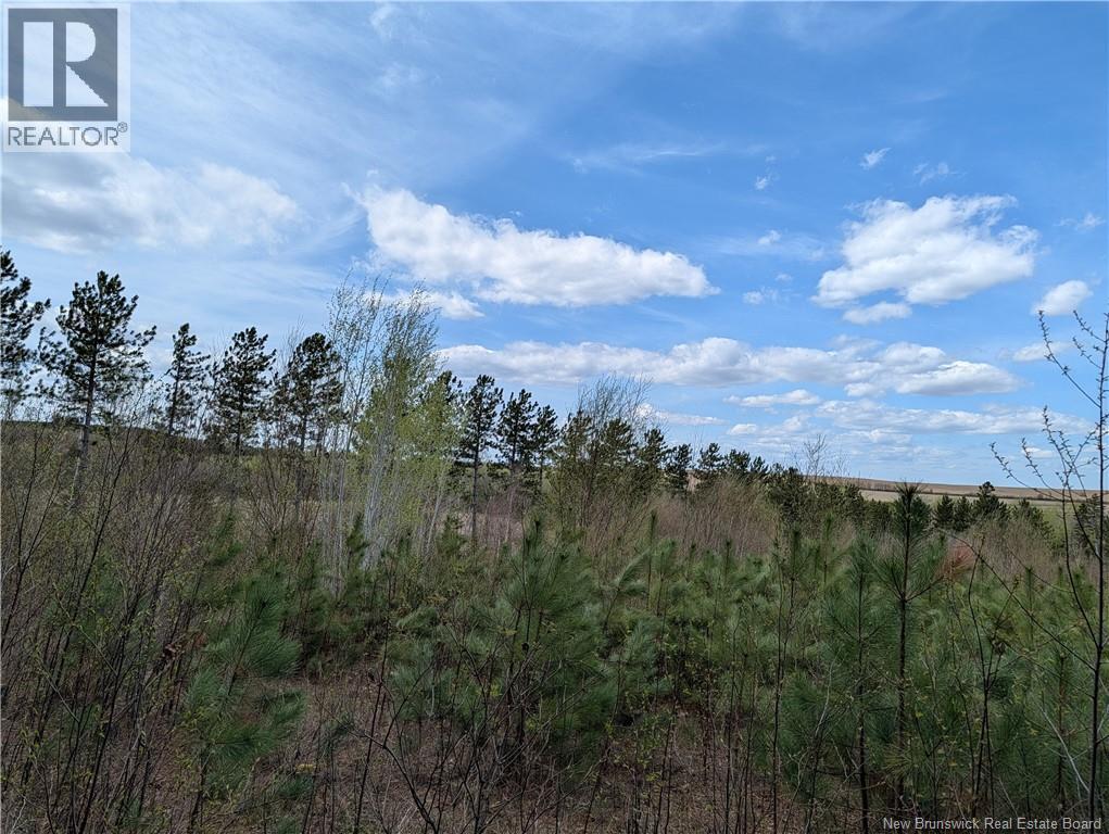 465 Route 375, Dsl De Grand-Sault/falls, New Brunswick  E3Z 1Z2 - Photo 29 - NB139764