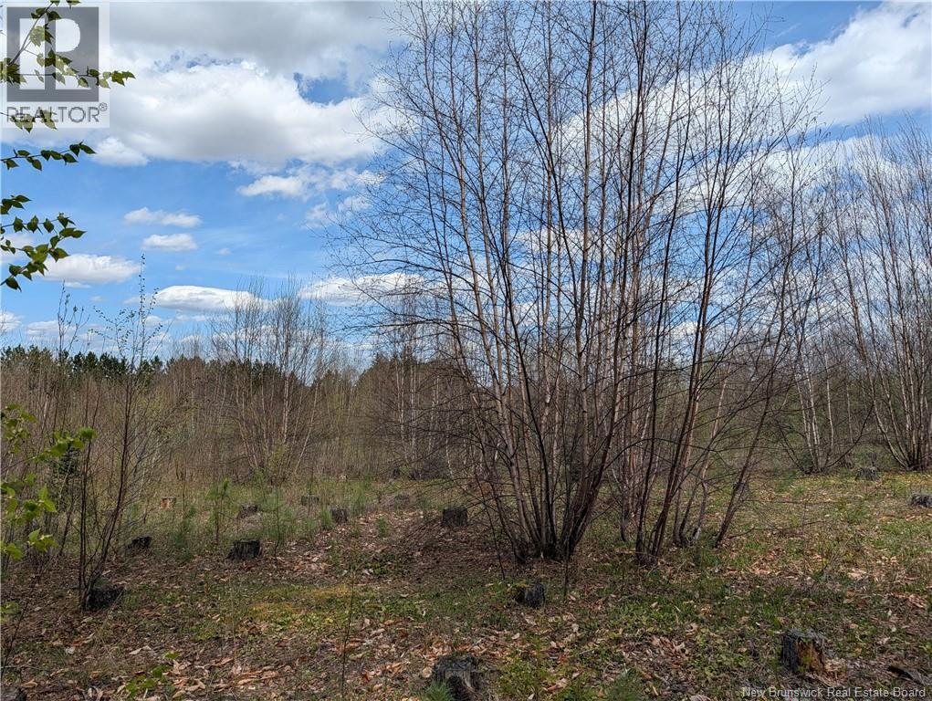 465 Route 375, Dsl De Grand-Sault/falls, New Brunswick  E3Z 1Z2 - Photo 32 - NB139764