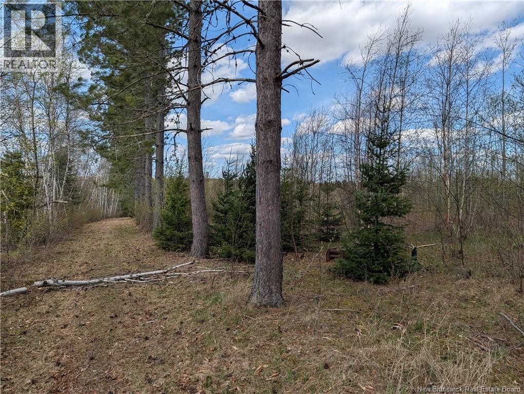 465 Route 375, Dsl De Grand-Sault/falls, New Brunswick  E3Z 1Z2 - Photo 31 - NB139764