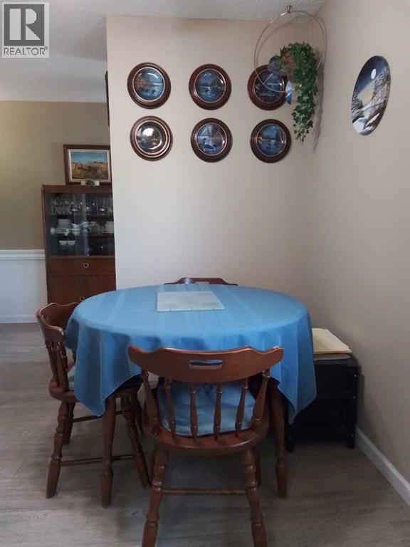 4607 46 Avenue, Mayerthorpe, Alberta T0E 1n0 - Photo 21 - A2311907
