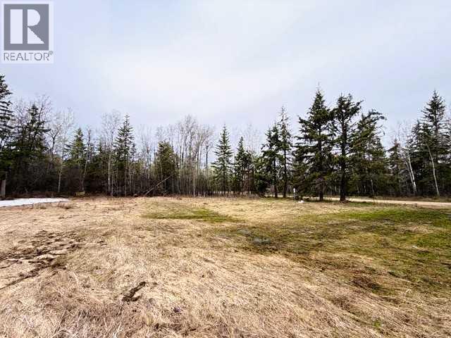 10 1 Avenue NE, Grouard, Alberta  T0G 1C0 - Photo 10 - A2310691