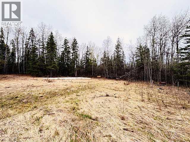 10 1 Avenue NE, Grouard, Alberta  T0G 1C0 - Photo 9 - A2310691
