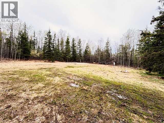 10 1 Avenue NE, Grouard, Alberta  T0G 1C0 - Photo 5 - A2310691