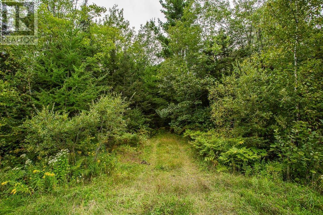 361 Maclennan/rydall Mill Road, Property 3, Township Of Tarbutt, Ontario P0R 1E0 - Photo 11 - SM252801