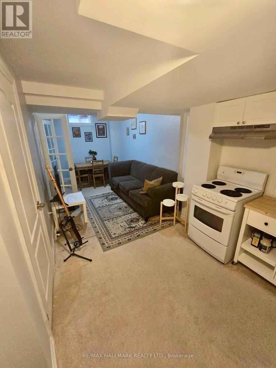 Basement - 239 Banbrooke Crescent, Newmarket, Ontario L3X 2W5 - Photo 3 - N13145350