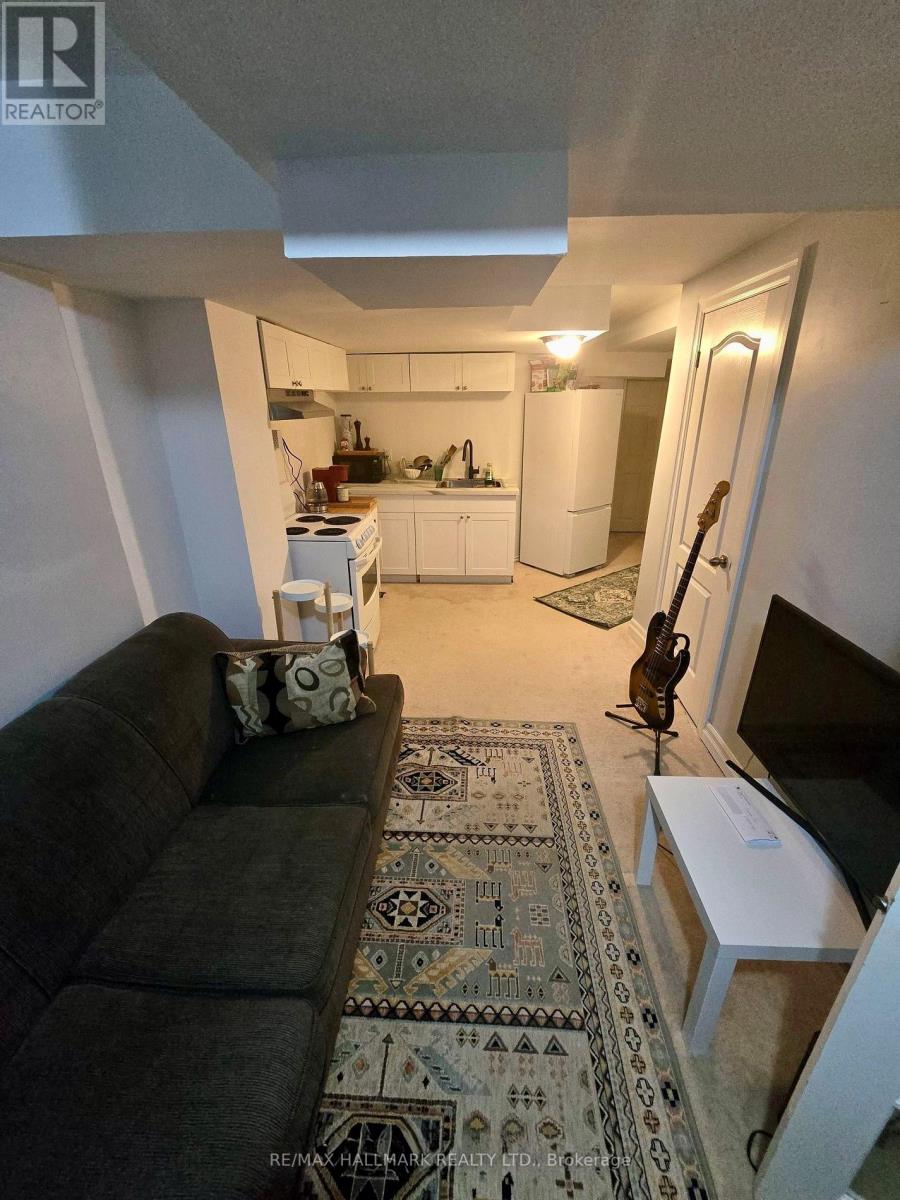 Basement - 239 Banbrooke Crescent, Newmarket, Ontario L3X 2W5 - Photo 6 - N13145350