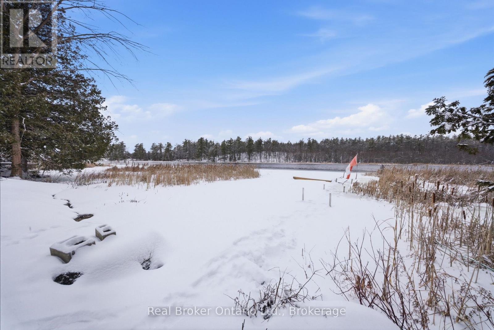 135 Camp Lane, Tweed, Ontario  K0K 3J0 - Photo 42 - X13145576