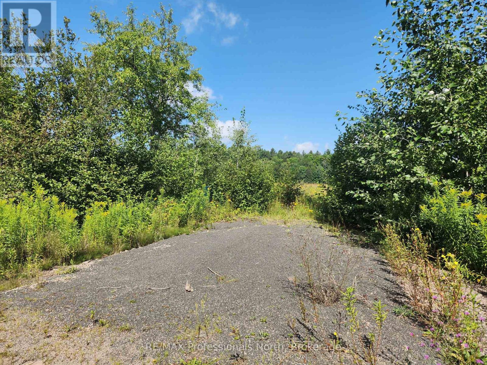 0 Deep Bay Road, Minden Hills, Ontario  K0M 2K0 - Photo 3 - X13145594