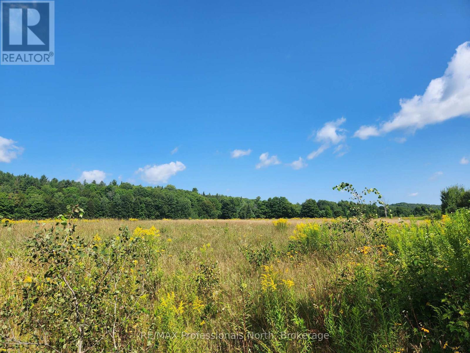 0 Deep Bay Road, Minden Hills, Ontario  K0M 2K0 - Photo 4 - X13145594