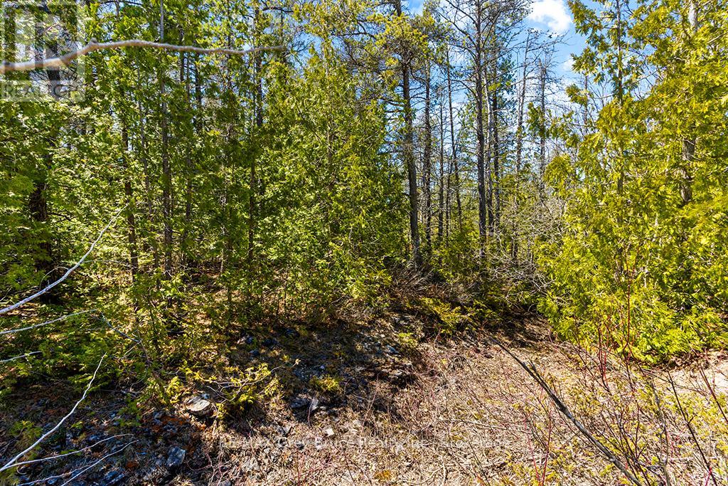 Lot 12 Willow Creek Crescent, Northern Bruce Peninsula, Ontario  N0H 2R0 - Photo 13 - X12996640