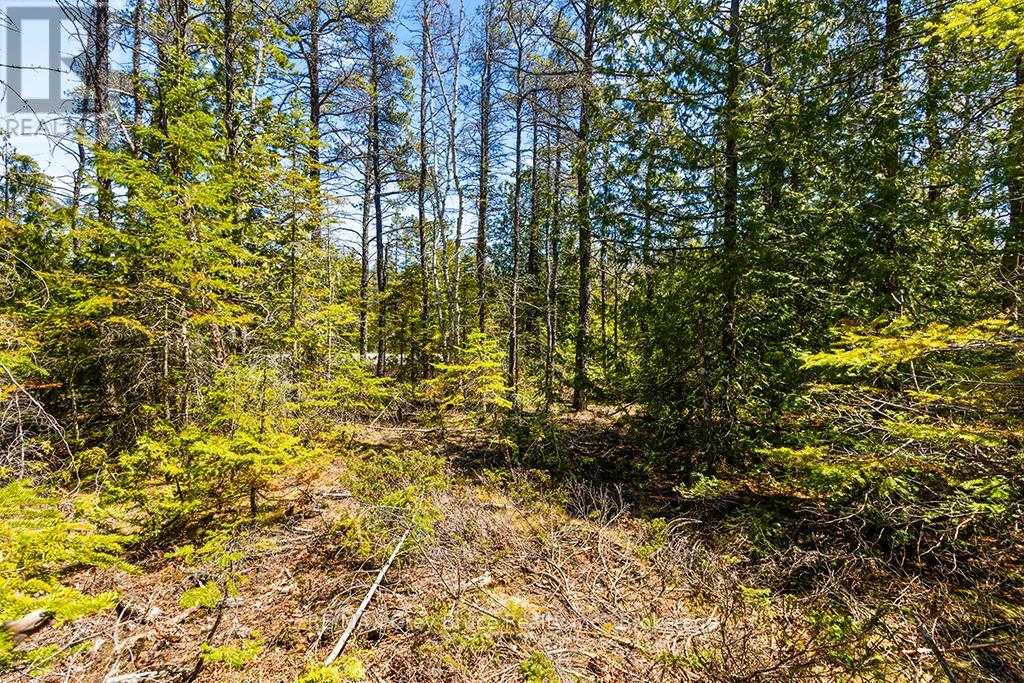 Lot 12 Willow Creek Crescent, Northern Bruce Peninsula, Ontario  N0H 2R0 - Photo 16 - X12996640