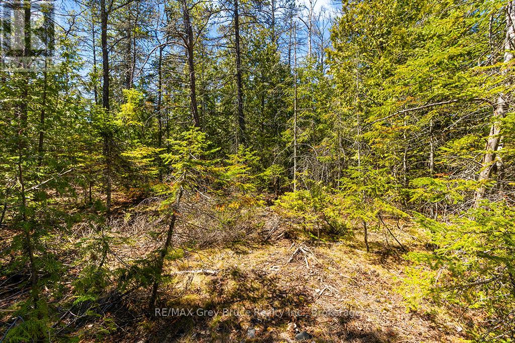 Lot 12 Willow Creek Crescent, Northern Bruce Peninsula, Ontario  N0H 2R0 - Photo 15 - X12996640
