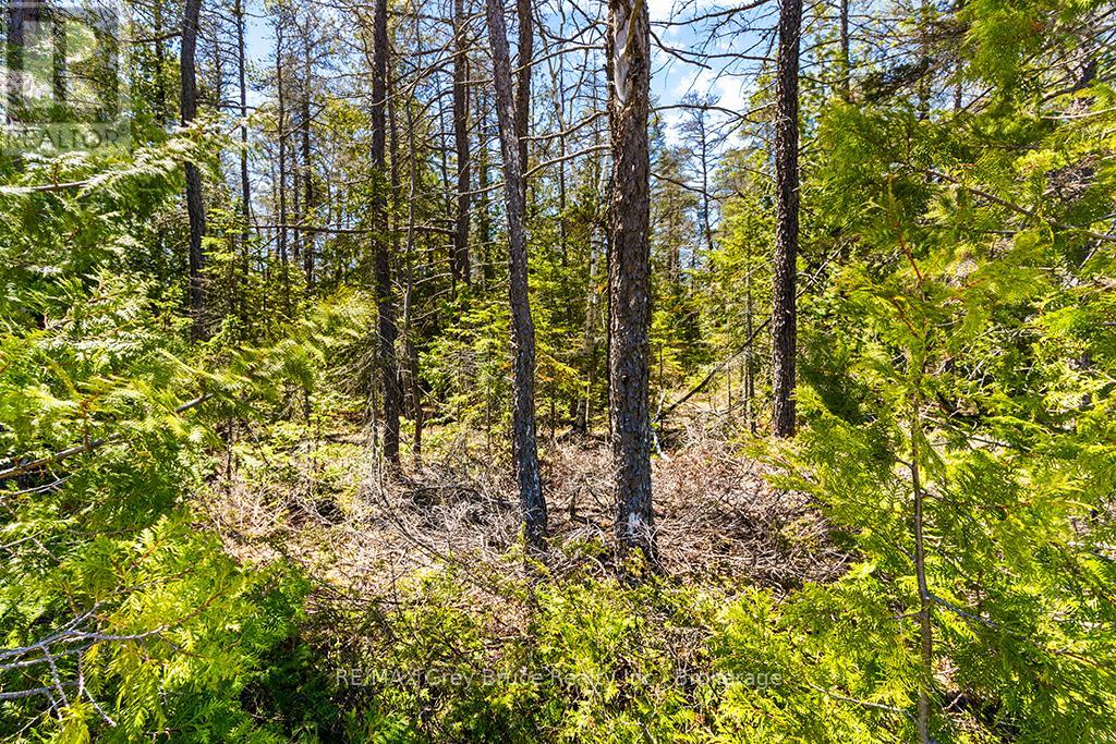 Lot 12 Willow Creek Crescent, Northern Bruce Peninsula, Ontario  N0H 2R0 - Photo 14 - X12996640