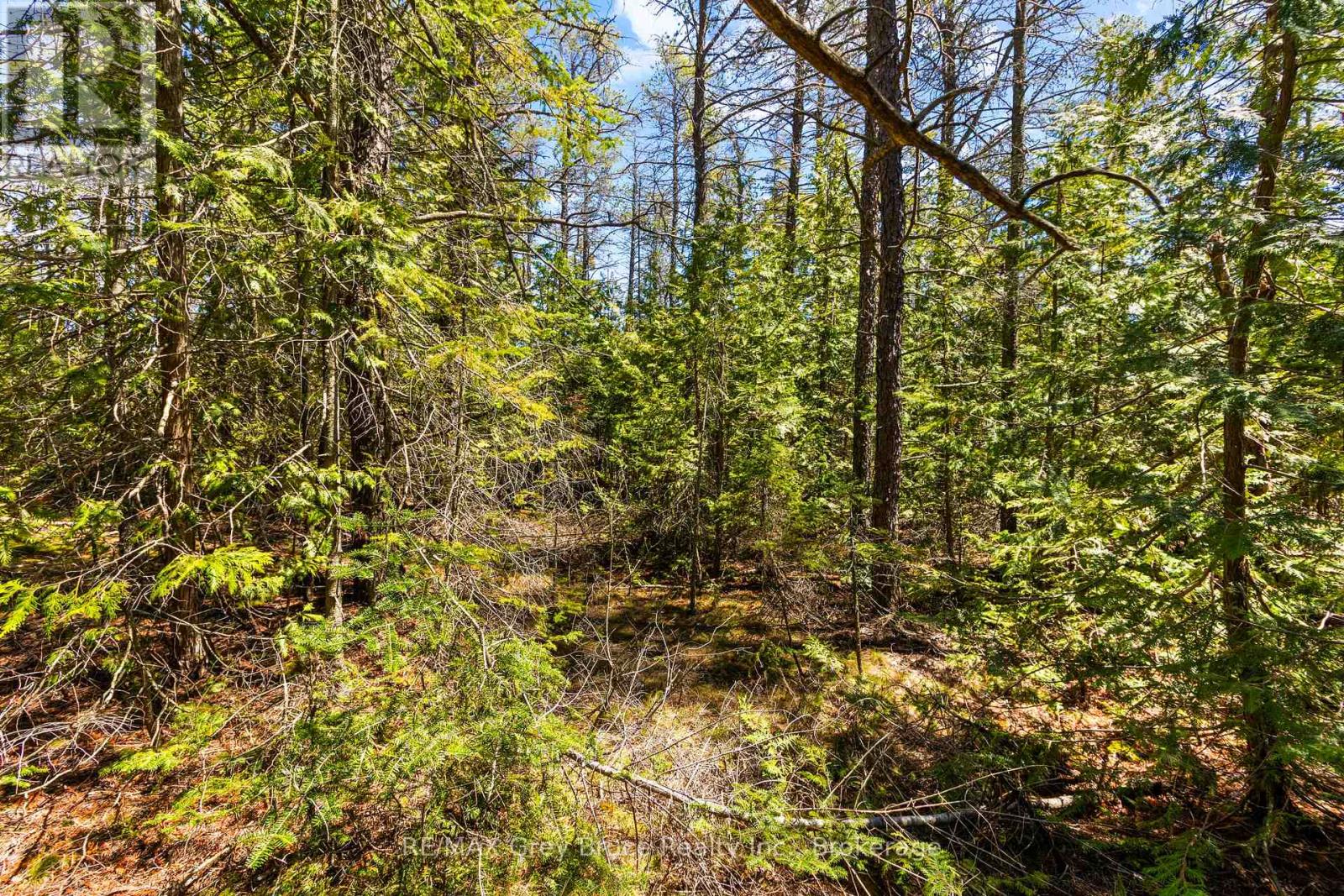 Lot 12 Willow Creek Crescent, Northern Bruce Peninsula, Ontario  N0H 2R0 - Photo 8 - X12996640