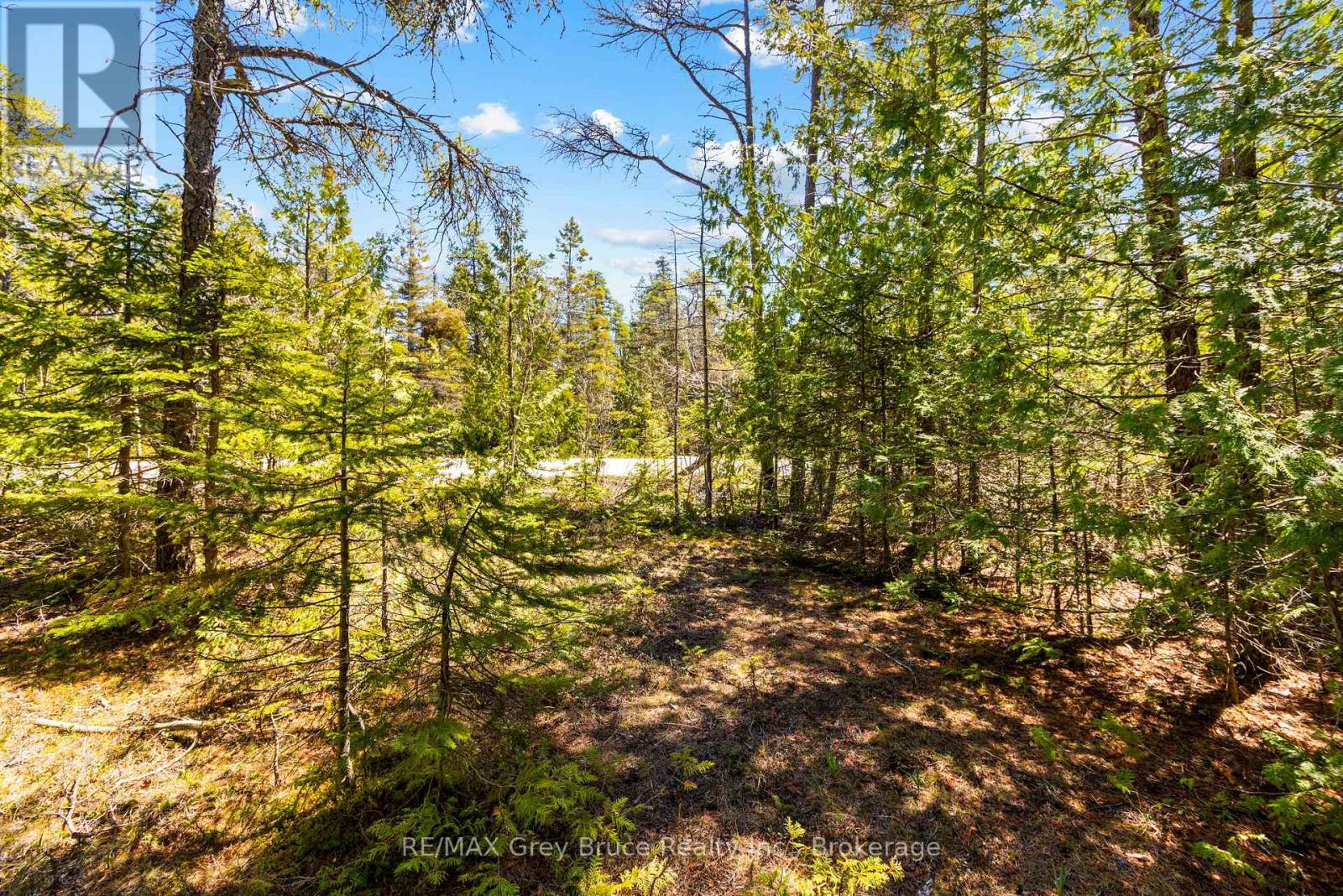 Lot 12 Willow Creek Crescent, Northern Bruce Peninsula, Ontario  N0H 2R0 - Photo 9 - X12996640