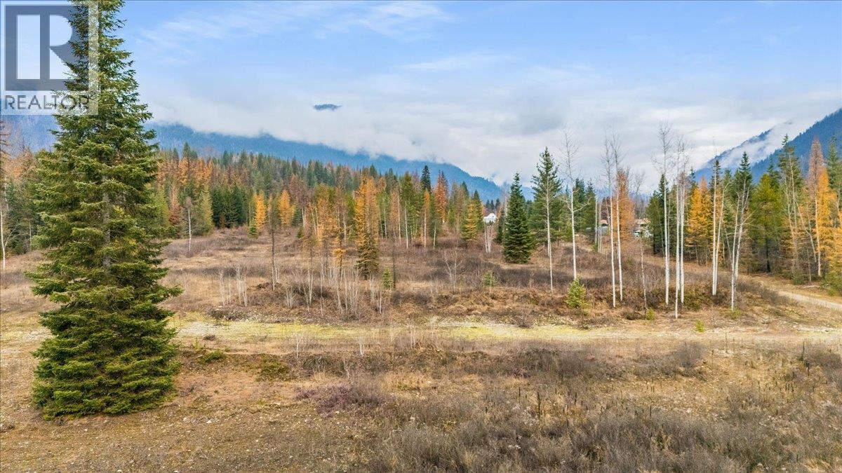 Lot B Henderson Avenue, Salmo, British Columbia V0G 1Z0 - Photo 8 - 10369518