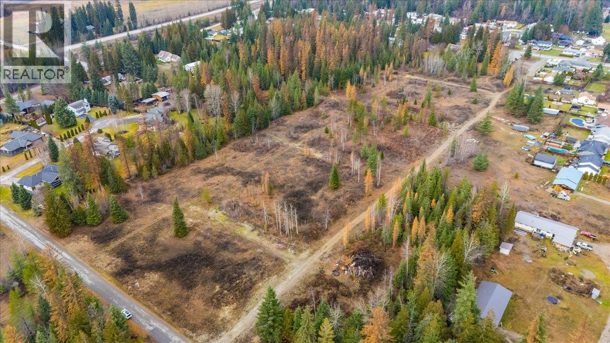 Lot B Henderson Avenue, Salmo, British Columbia V0G 1Z0 - Photo 2 - 10369518