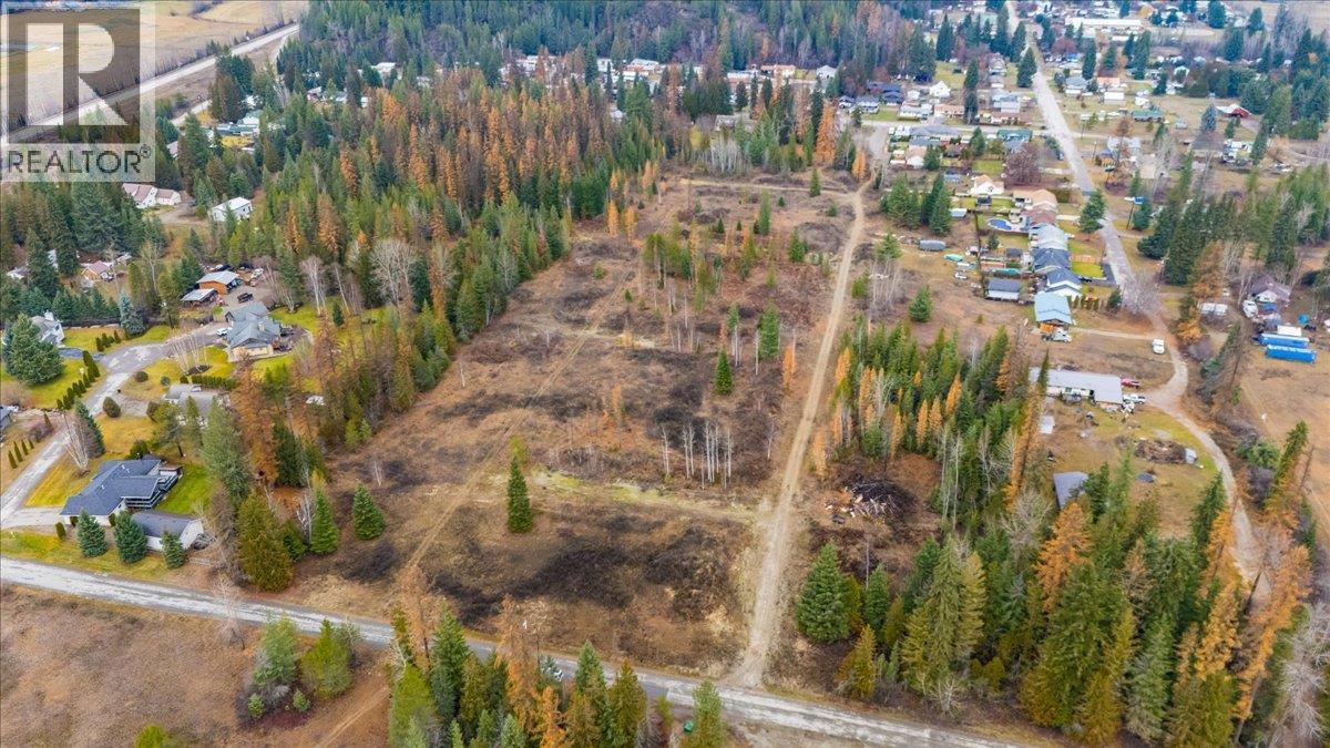 Lot B Henderson Avenue, Salmo, British Columbia V0G 1Z0 - Photo 5 - 10369518