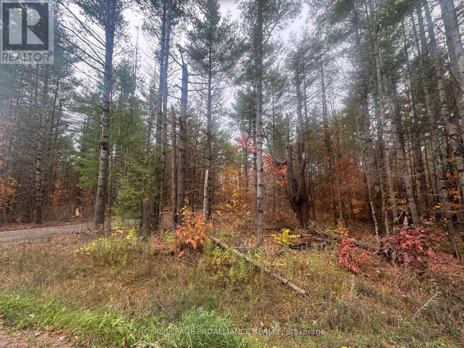 945 SHANICK ROAD, Marmora and Lake, Ontario