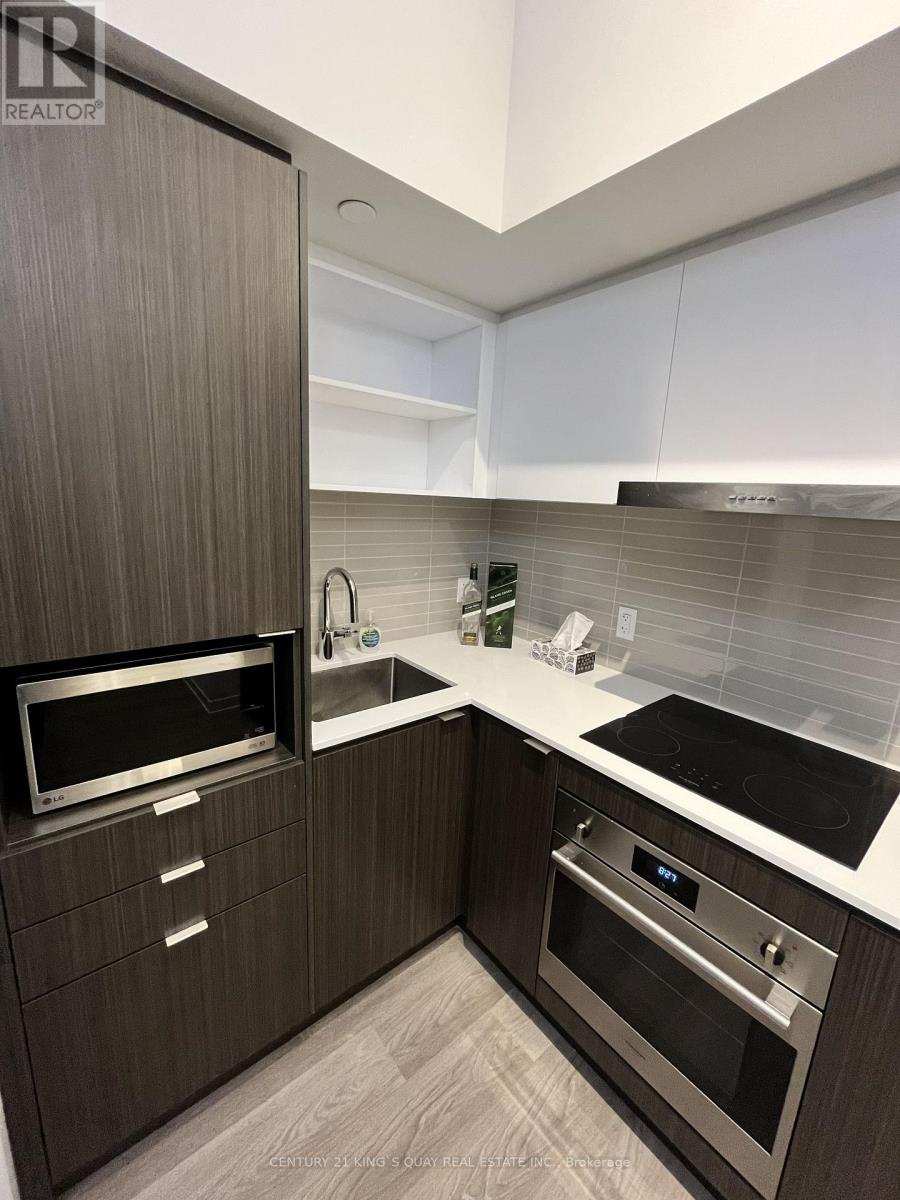 4111 - 55 Cooper Street, Toronto, Ontario  M5E 0G1 - Photo 3 - C13145908