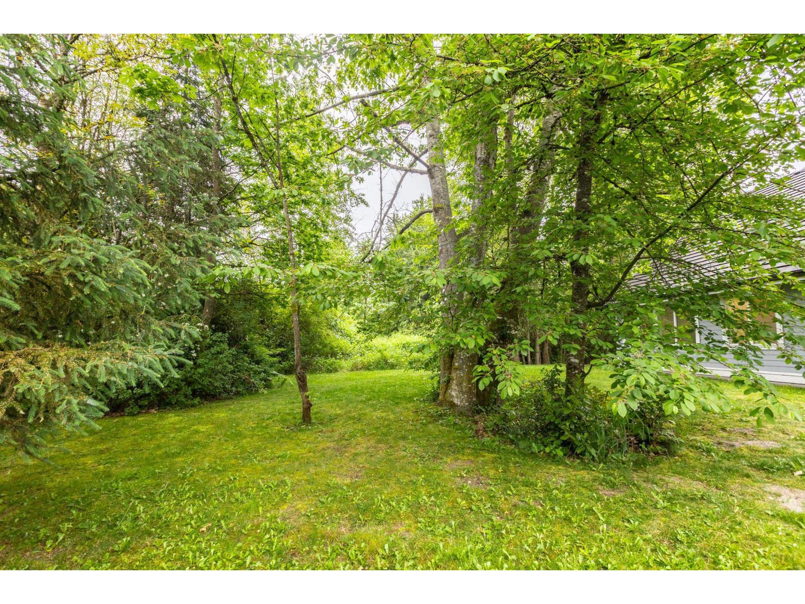 8228 171a Street, Surrey, British Columbia V4N 0B2 - Photo 36 - R3124917