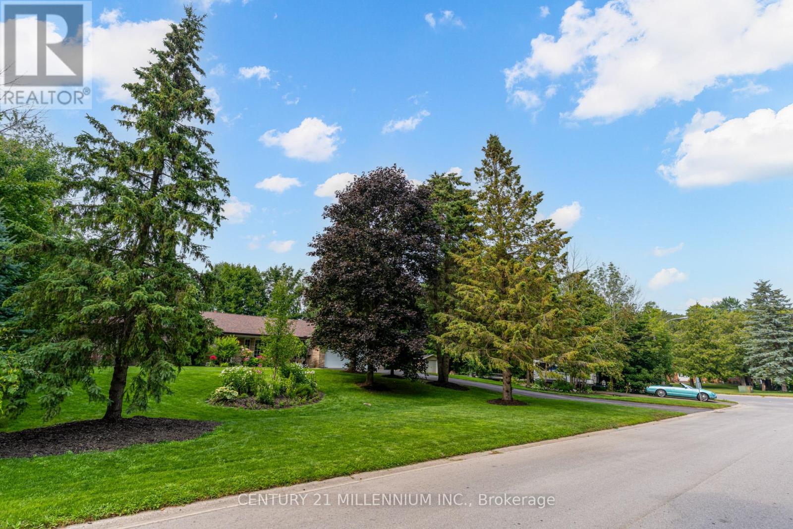 101 Birch Grove, Shelburne, Ontario  L9W 2W3 - Photo 4 - X13145956