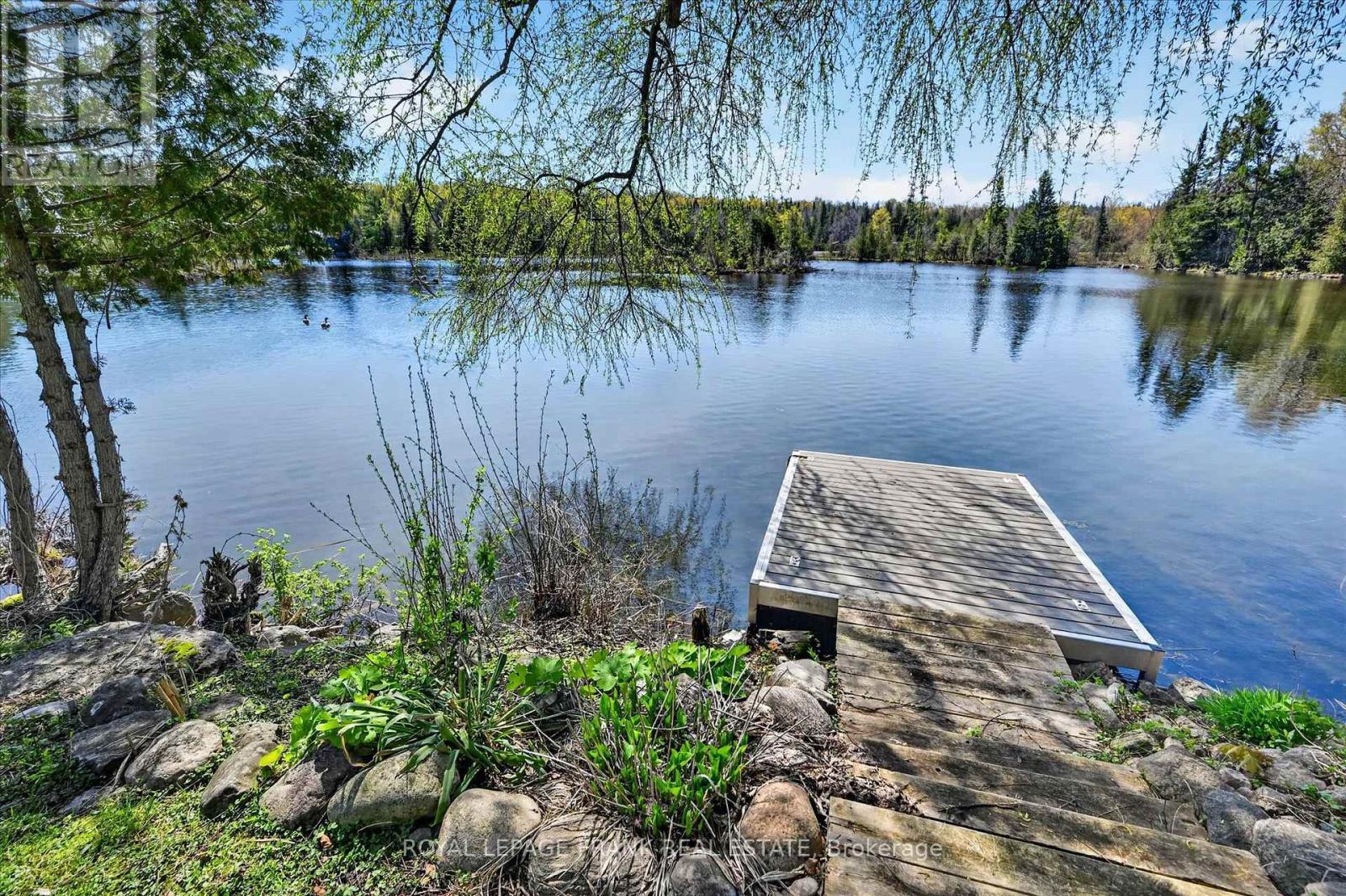 187 River Lane, Douro-Dummer, Ontario  K0L 3A0 - Photo 39 - X13146110