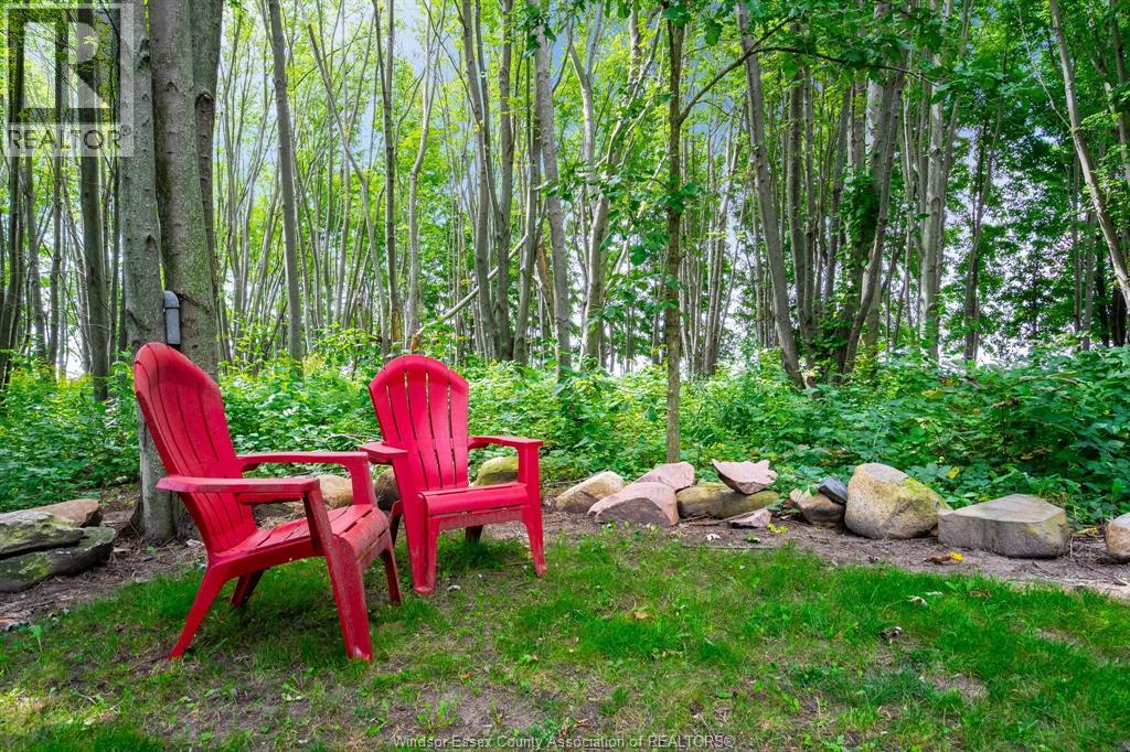 863 Road 6 East, Ruthven, Ontario N0P 2G0 - Photo 42 - 26011515
