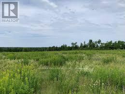 934284 Airport Road, Mono, Ontario  L9W 2Y8 - Photo 8 - X13146138