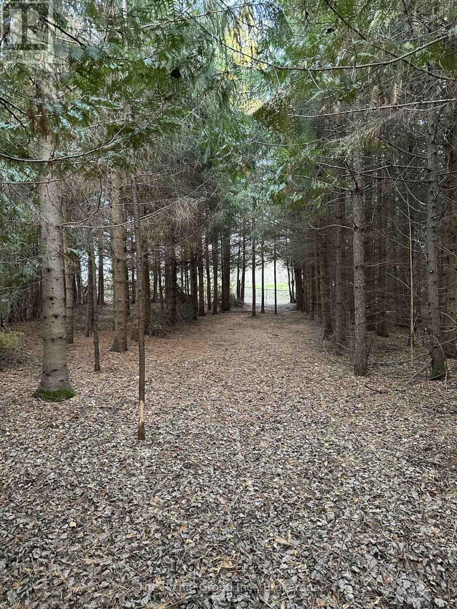 Pt Lt 3 Con 7, Amaranth, Ontario  L9W 0M4 - Photo 1 - X13146168