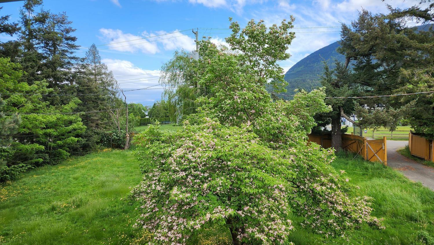 4165 Stewart Road, Yarrow, Yarrow, British Columbia  V2R 5G6 - Photo 4 - R3125037