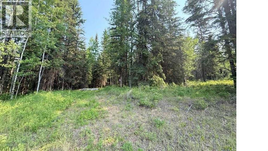 221054 670 Township, Rural Athabasca County, Alberta  T9S 2B5 - Photo 7 - A2234230
