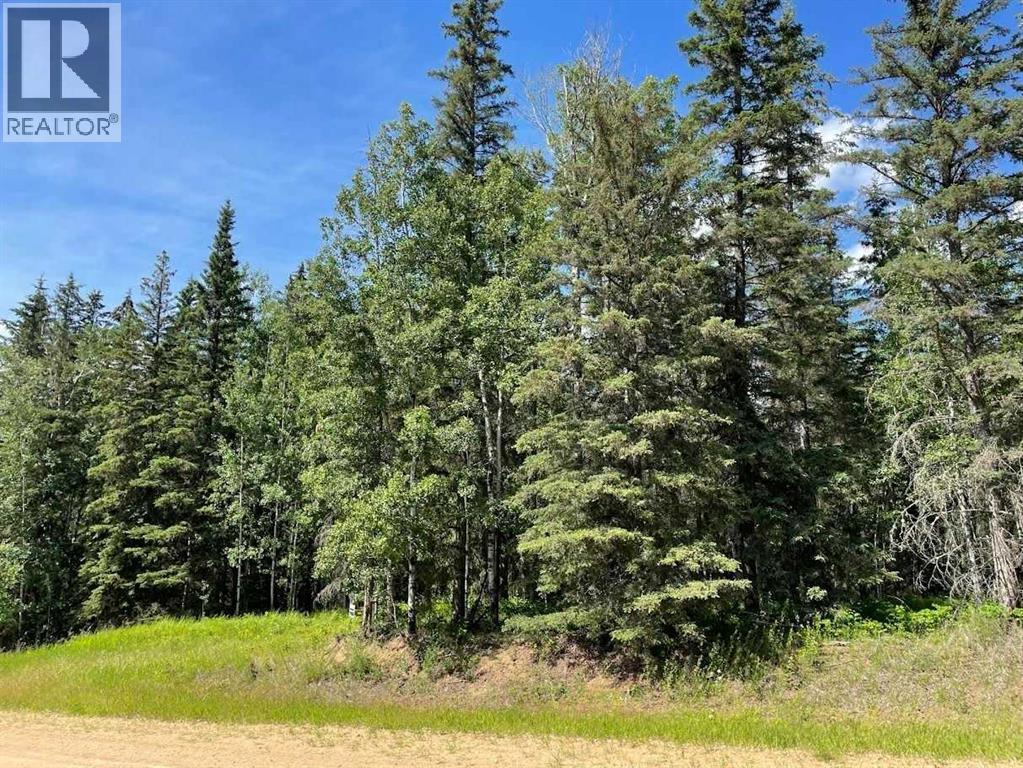 221054 670 Township, Rural Athabasca County, Alberta  T9S 2B5 - Photo 4 - A2234230