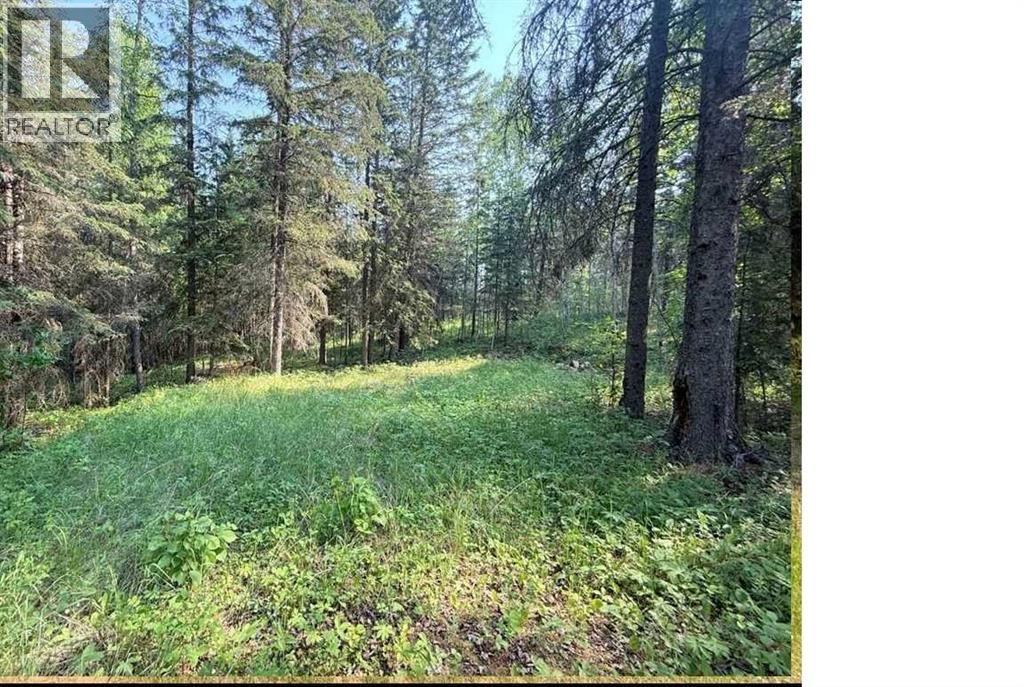 221054 670 Township, Rural Athabasca County, Alberta  T9S 2B5 - Photo 8 - A2234230