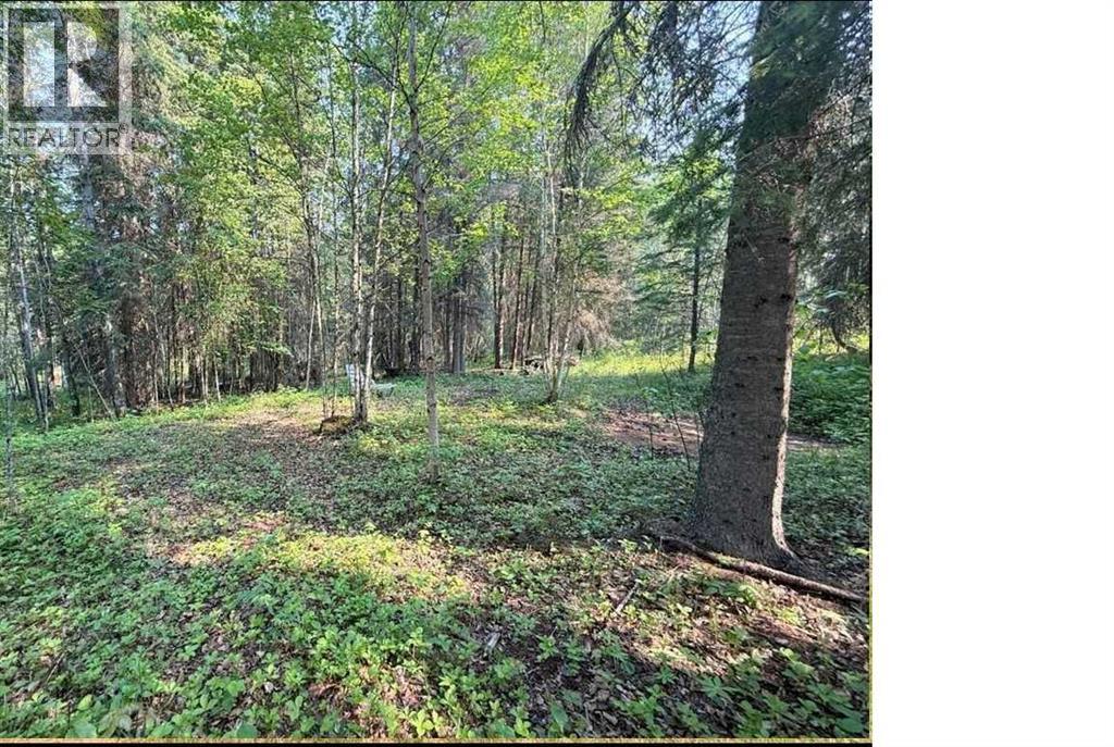 221054 670 Township, Rural Athabasca County, Alberta  T9S 2B5 - Photo 10 - A2234230