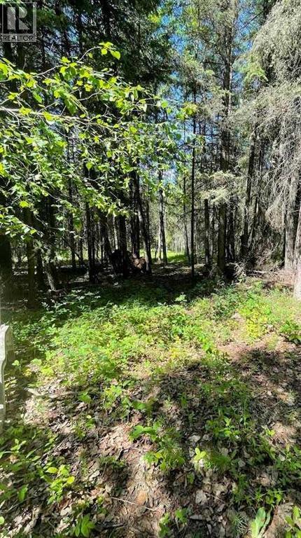 221054 670 Township, Rural Athabasca County, Alberta  T9S 2B5 - Photo 12 - A2234230
