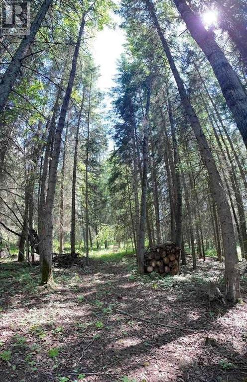 221054 670 Township, Rural Athabasca County, Alberta  T9S 2B5 - Photo 16 - A2234230