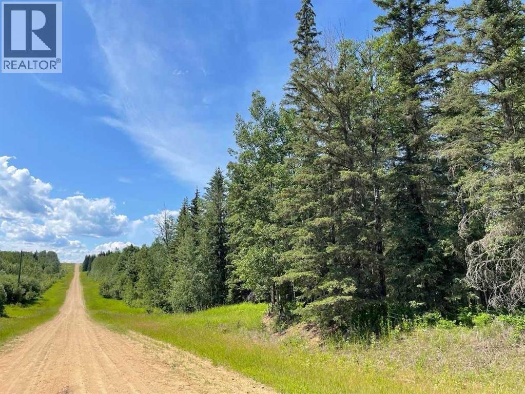 221054 670 Township, Rural Athabasca County, Alberta  T9S 2B5 - Photo 3 - A2234230