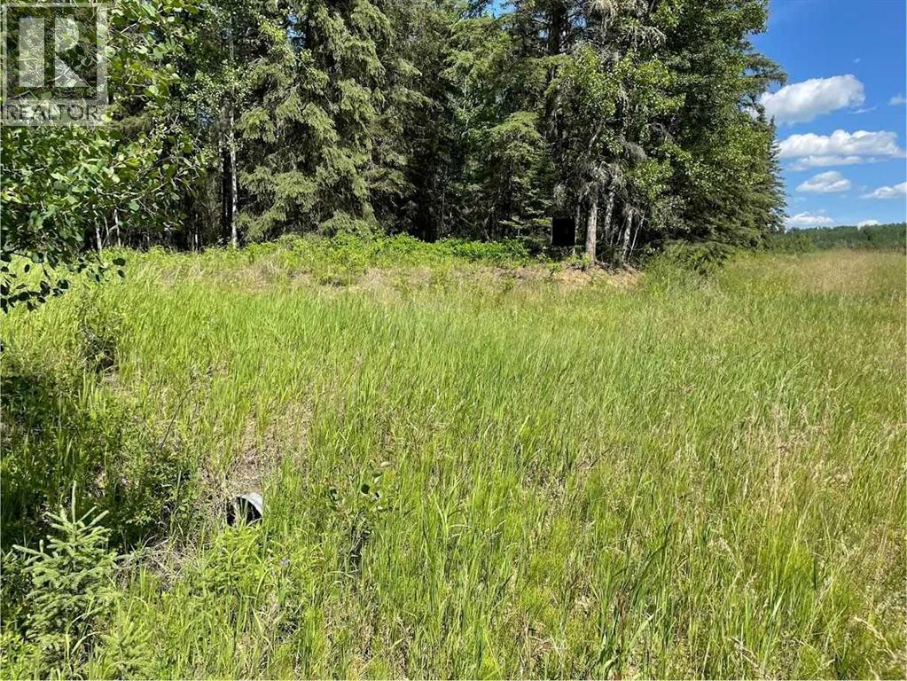221054 670 Township, Rural Athabasca County, Alberta  T9S 2B5 - Photo 6 - A2234230