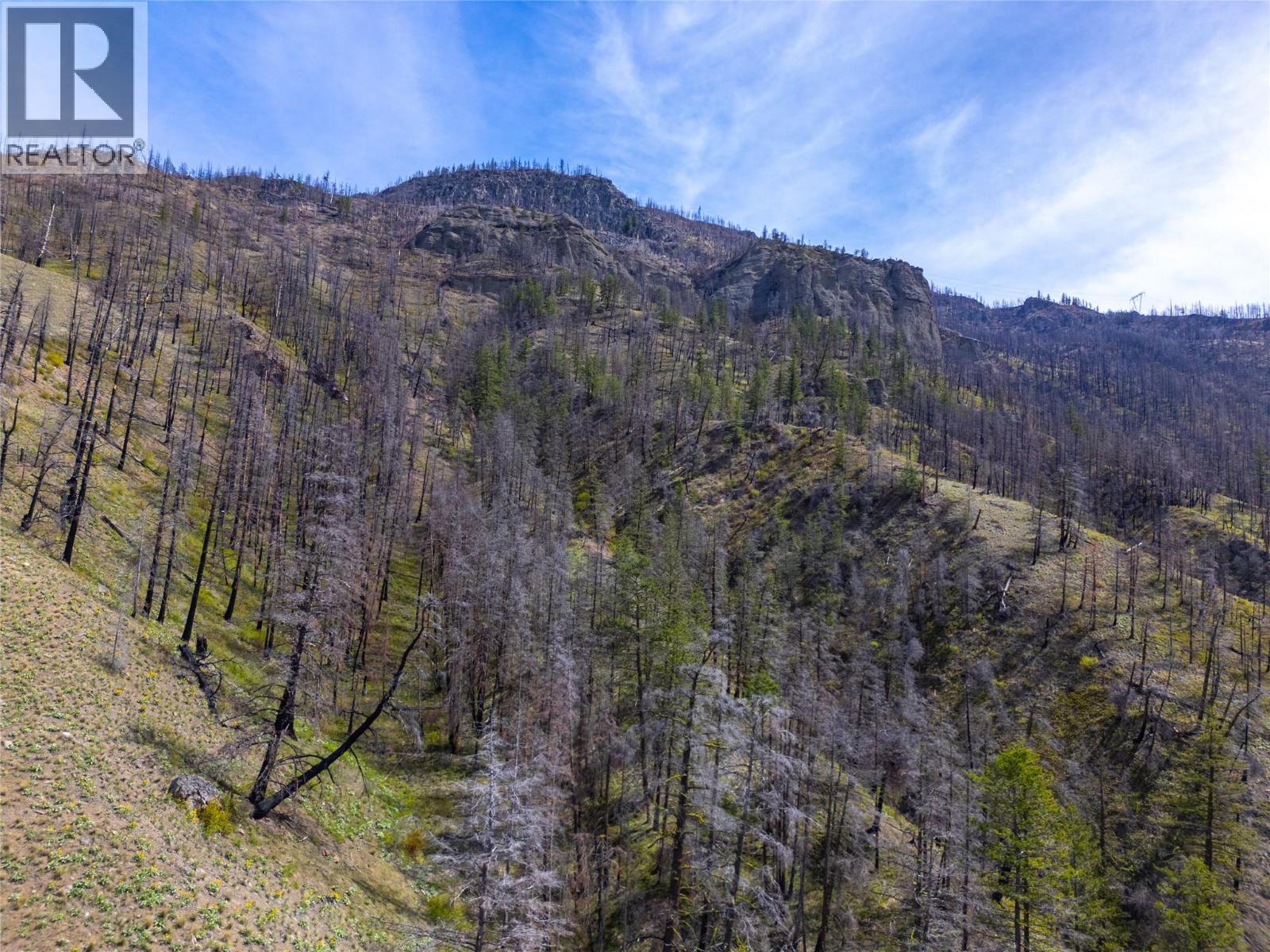 2603 Green Mountain Road, Keremeos, British Columbia  V0X 1N6 - Photo 79 - 10382607